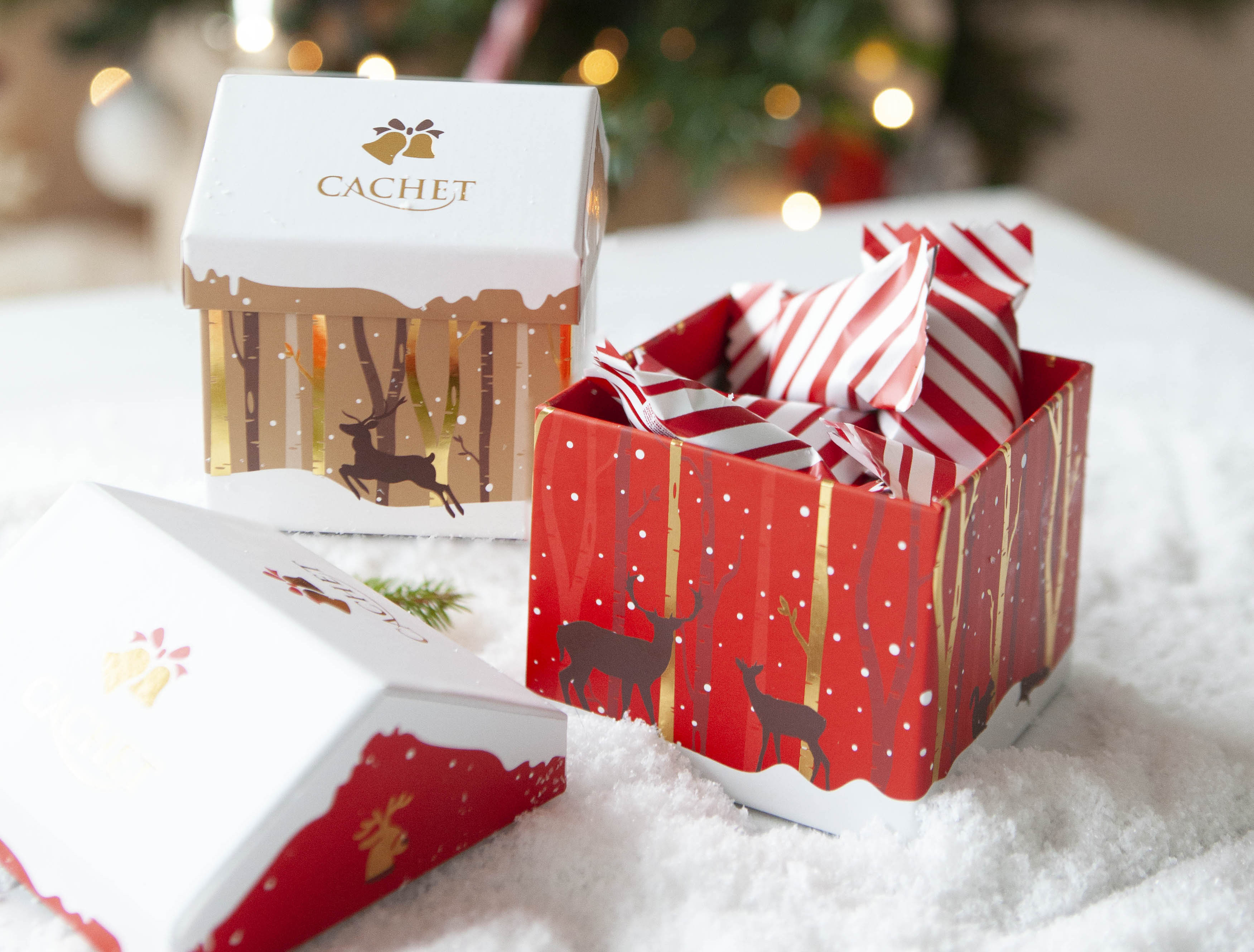 Cachet Christmas house gift box