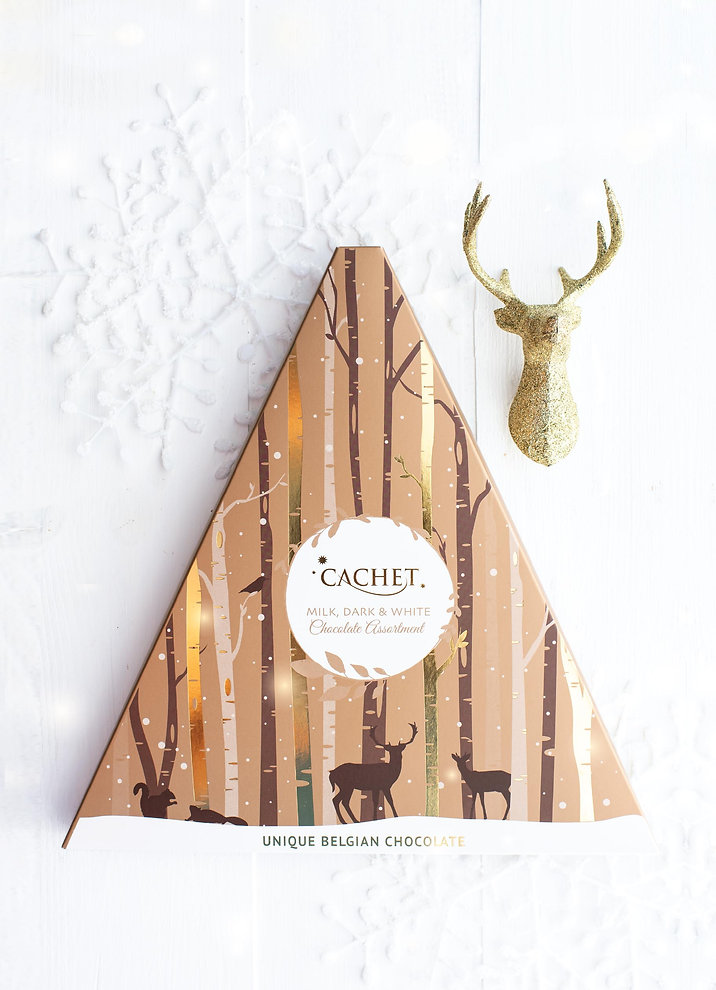Cachet triangular winter forest box